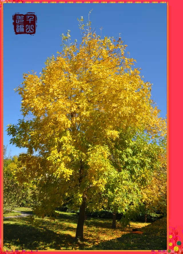 未名湖|首都北京——未名湖畔