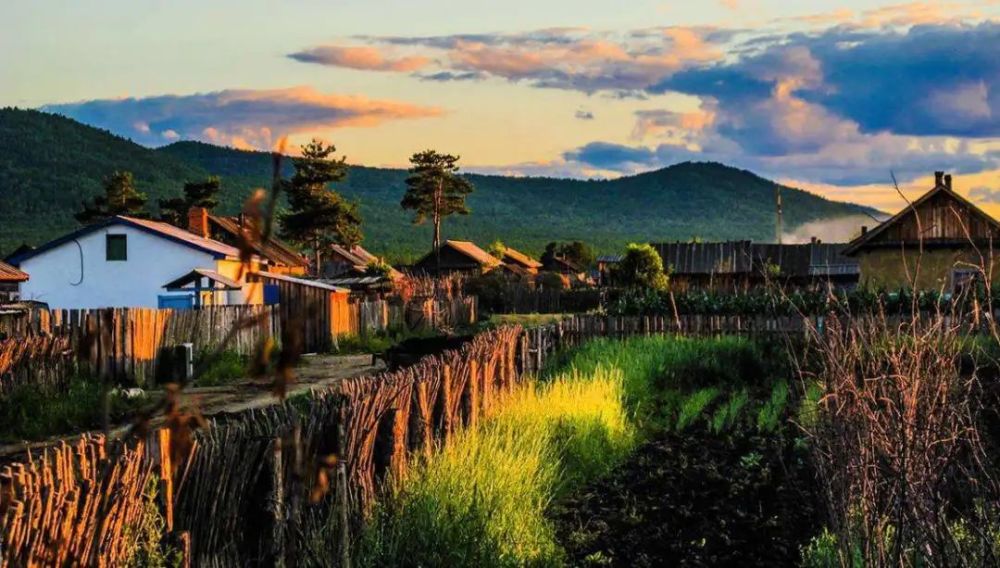 赵文元|赵文元：诗痴