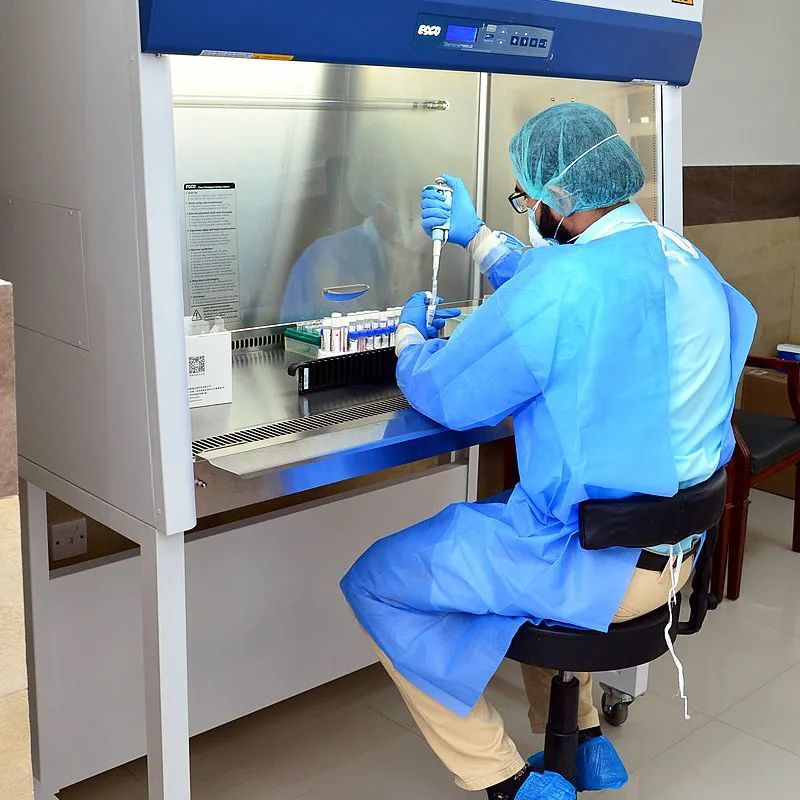 巴基斯坦_社会|巴基斯坦，释放女囚