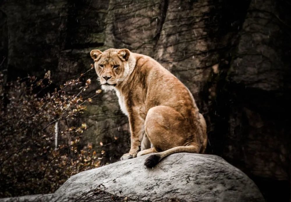 楢山节考|别让父母在你面前，活得小心翼翼