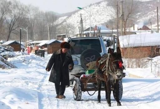 拉尼娜|拉尼娜75％将至，今冬偏冷还是偏暖？专家给出预测，农民早了解！