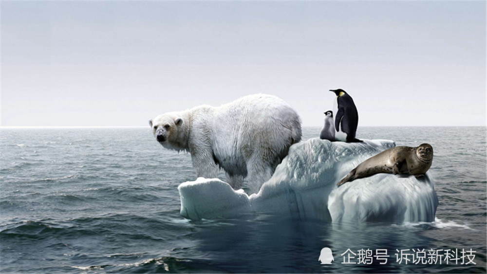 全球变暖|全球变暖有多严重？英国30名女性赤裸上身，现身街头警示人类！