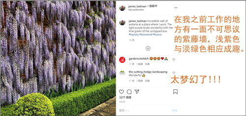 园林设计|树如何被剪成Q弹圆球？强迫症看完直呼舒适