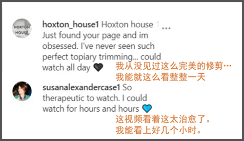 园林设计|树如何被剪成Q弹圆球？强迫症看完直呼舒适