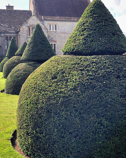 树如何被剪成q弹圆球强迫症看完直呼舒适