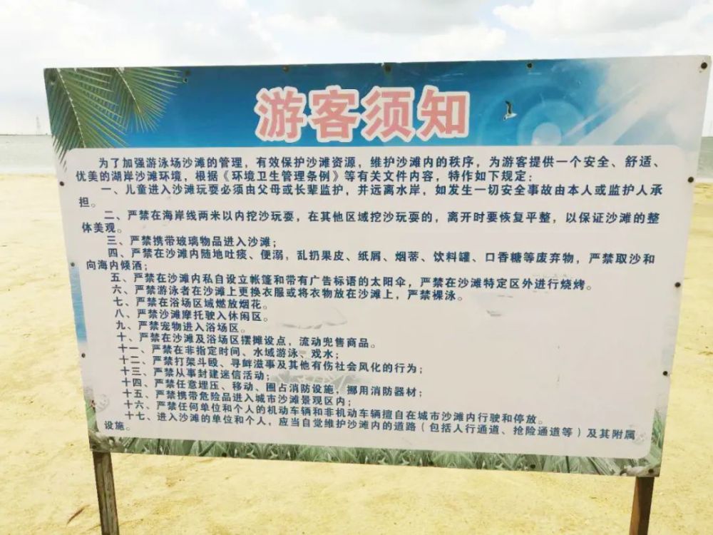 网易直播我是家乡代言人走进渤海新区之十里金沙滩