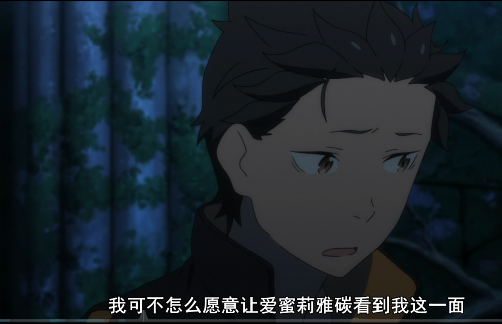 re0菜月昴同样是魔女我更愿意爱艾姬多娜她们嗯俺也一样