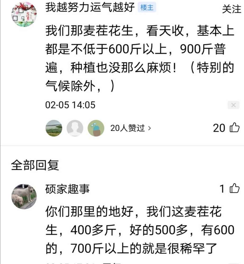 花生|农民种花生，有多少能够亩产上千斤？这些农民说出了大实话