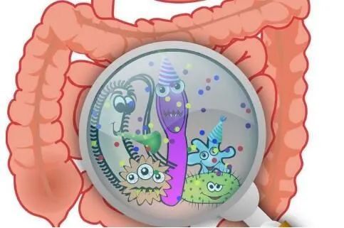 阿尔兹海默病|新发现！摄入地中海生酮饮食或能降低痴呆风险！