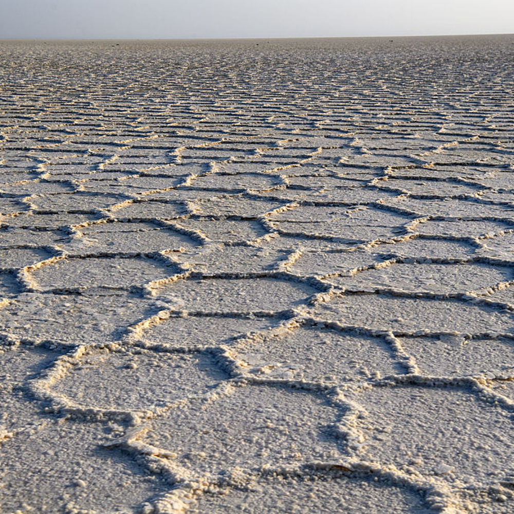 地平说|为什么有人会相信地平说？这真的值得置辩吗？