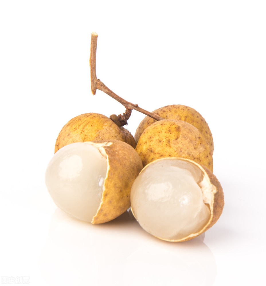 金秋九月桂圆已成熟