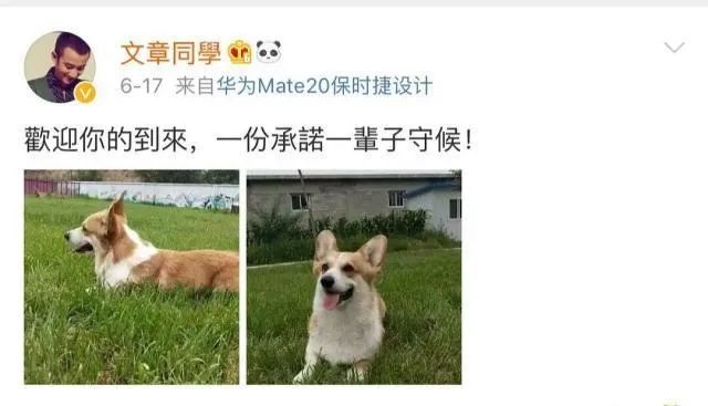 马伊琍|马伊琍离婚后首次绯闻曝光，大方坦言：女儿希望我找个帅哥