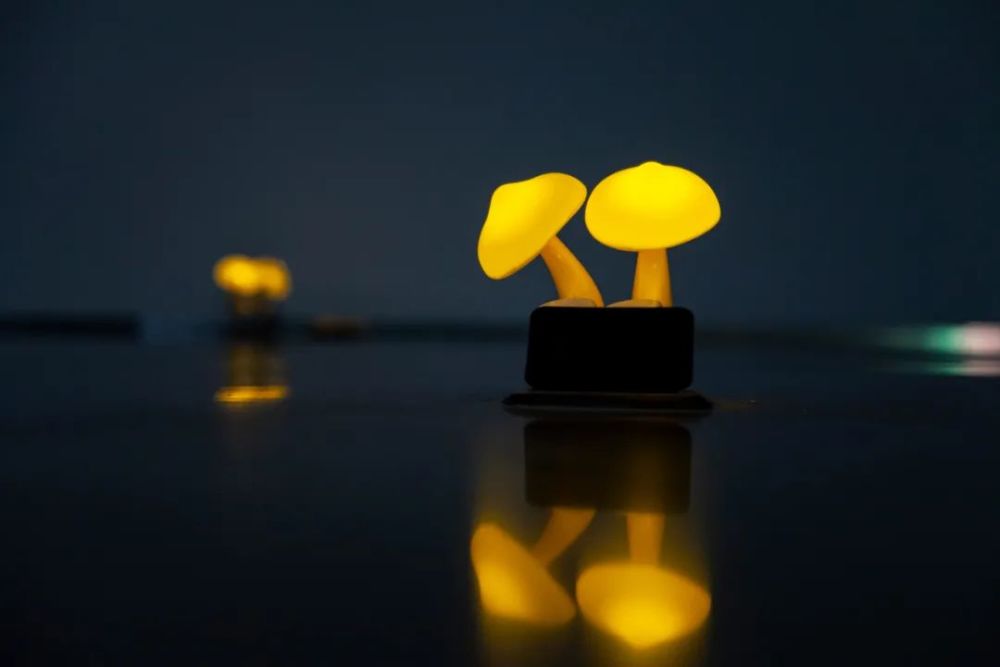 展览|一场不断生长的展览：More，More，More 第一乐章