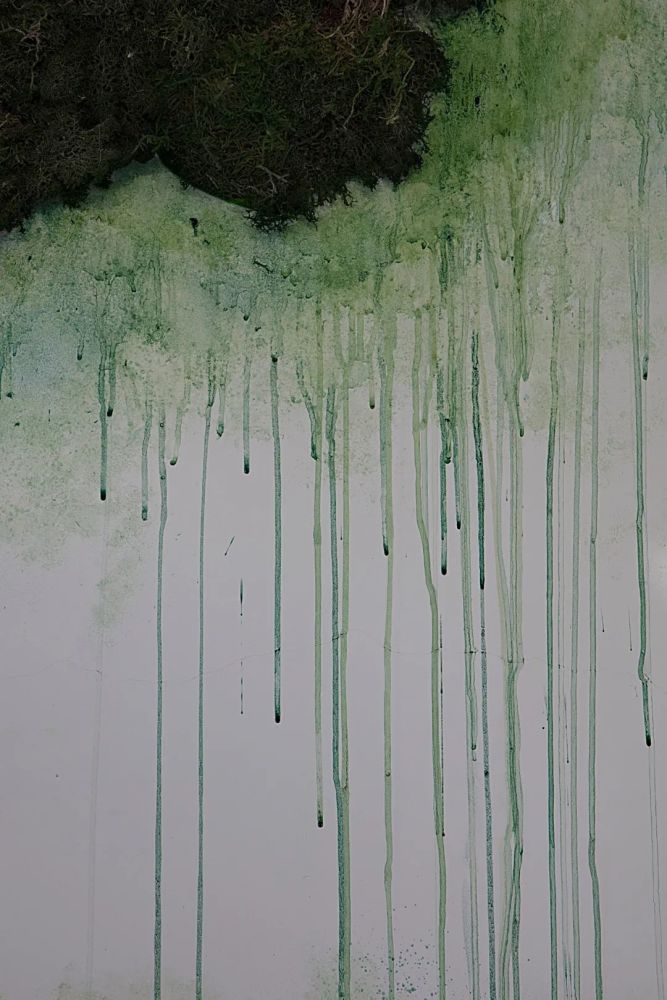 展览|一场不断生长的展览：More，More，More 第一乐章