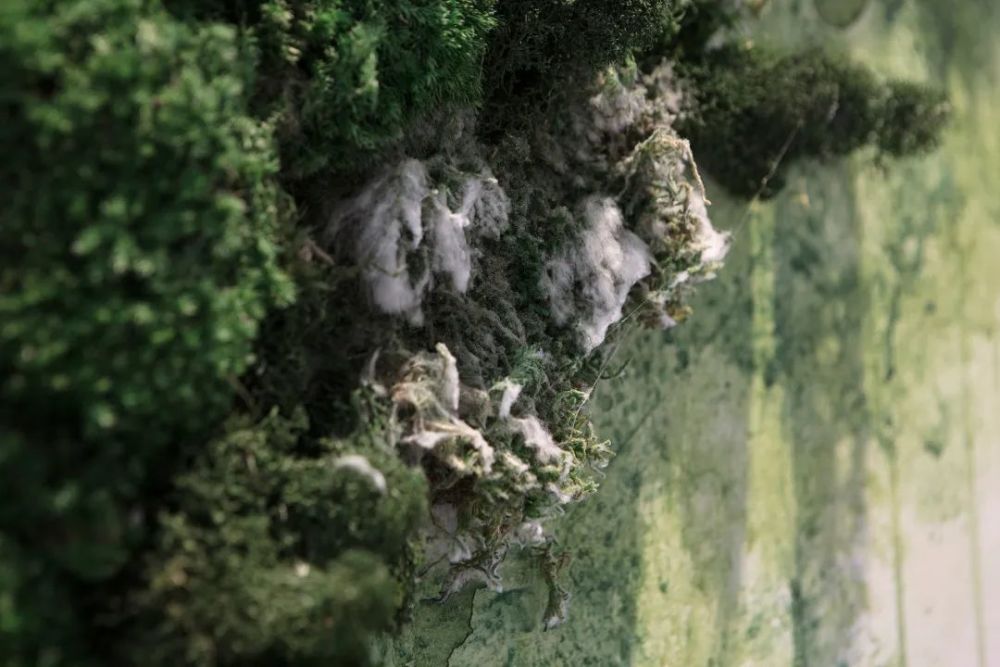 展览|一场不断生长的展览：More，More，More 第一乐章