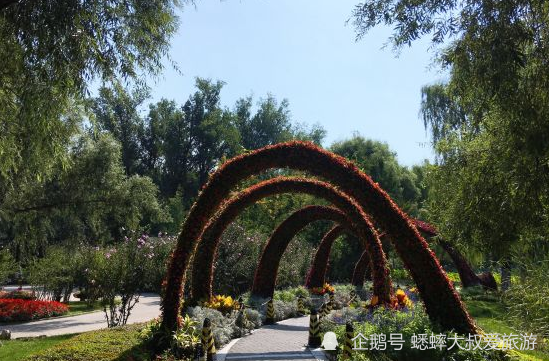 大运河森林公园|北京有个独一无二的景点，可闲庭信步，独具特色令人百玩不厌！