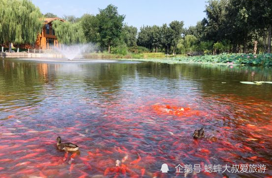 大运河森林公园|北京有个独一无二的景点，可闲庭信步，独具特色令人百玩不厌！