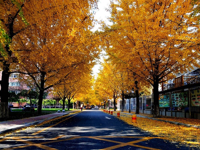 中国传媒大学|中国传媒大学，211工程大学，信息传播领域最高学府