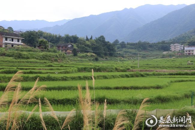 从成功商人到优秀村支书记涟源市白马镇咸秀村支部书记刘炎