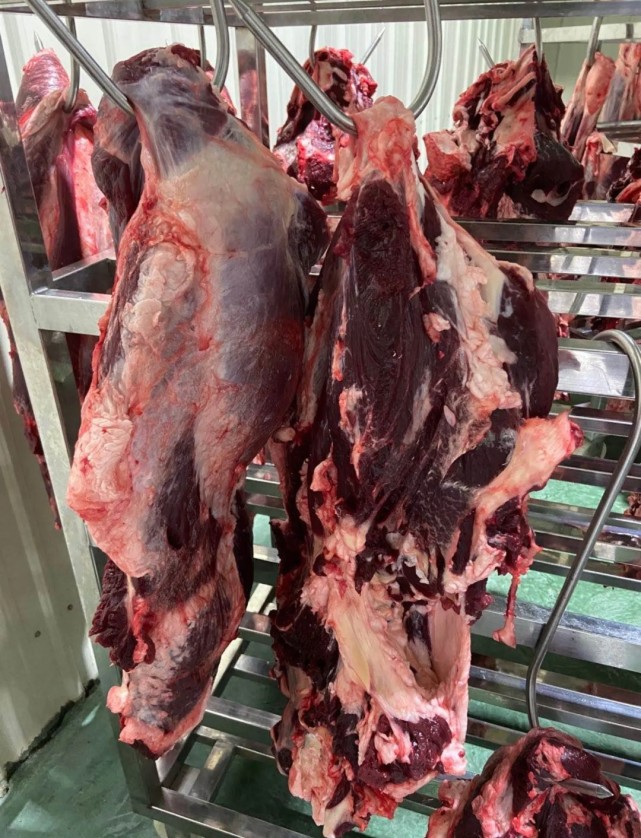 黄牛肉与水牛肉的区别特点