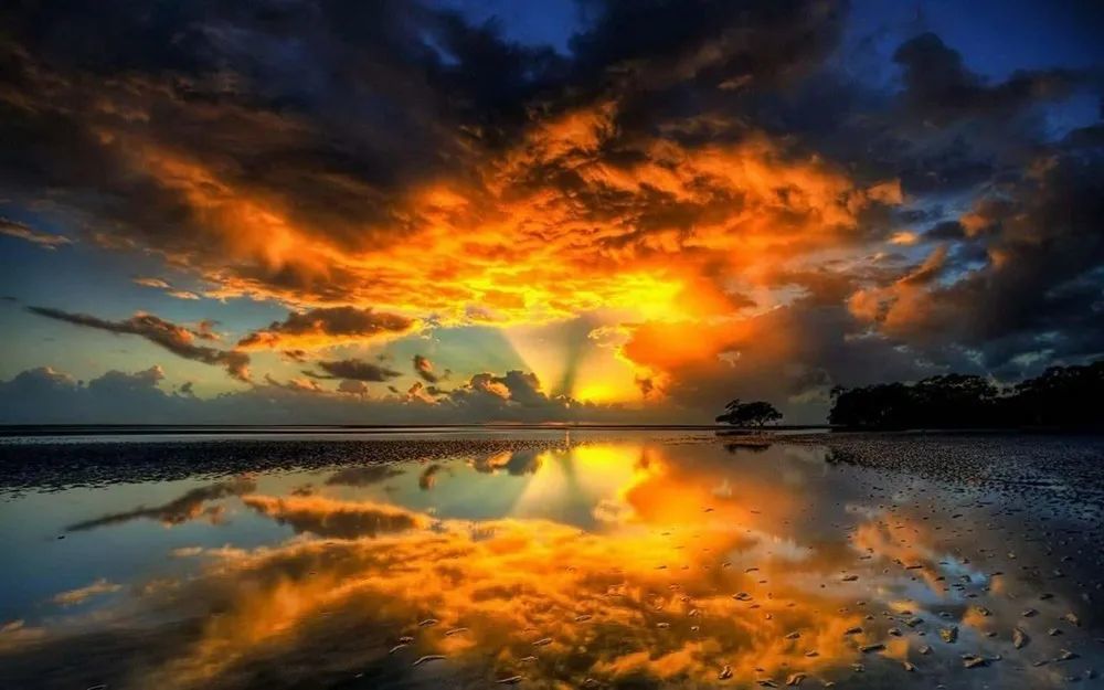 柳棣诵读火烧云