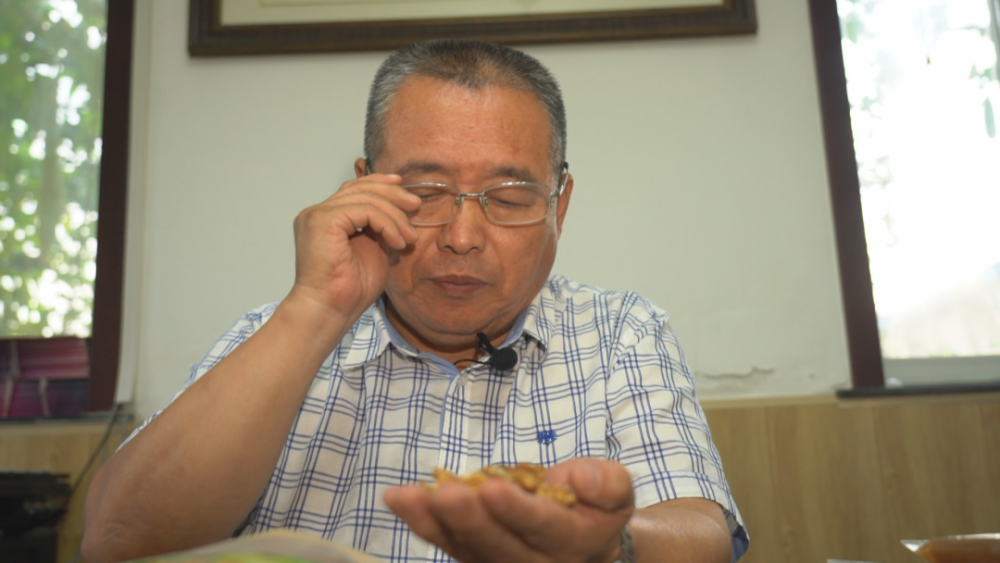 天津广播电视台|排队买月饼了吗？天津人为嘛就认这个味？