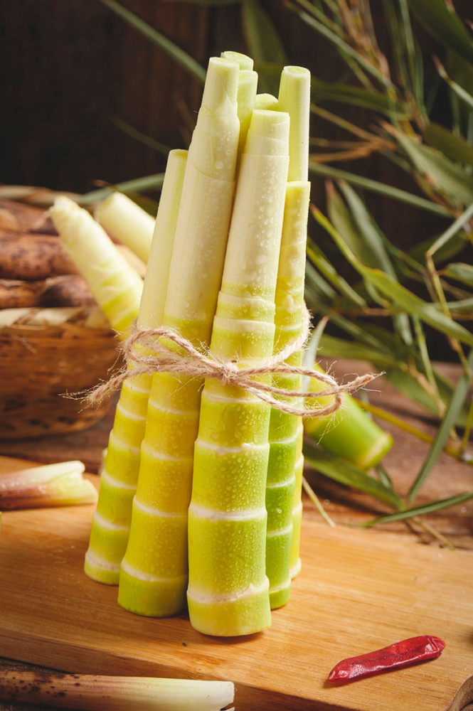 熊猫笋来了吃货们集合