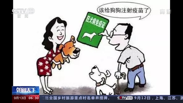 中国医学救援协会|“吸猫”虽好不要忽视安全 我国首部动物致伤诊治规范教你如何安全“吸猫”