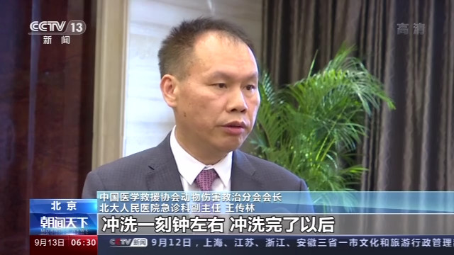 中国医学救援协会|“吸猫”虽好不要忽视安全 我国首部动物致伤诊治规范教你如何安全“吸猫”