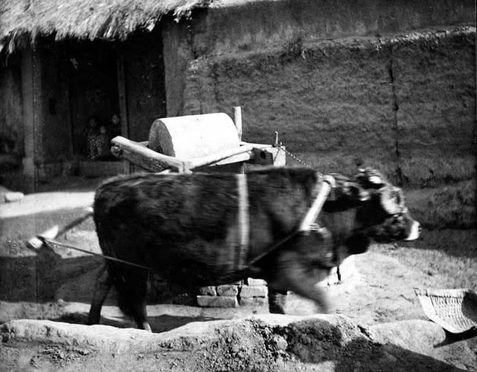 老照片|老外的收藏清朝老照片，被曝光后引起国人注意，您看了是啥感受？