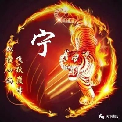 精美宁氏专属头像送给全球族人使用第3批
