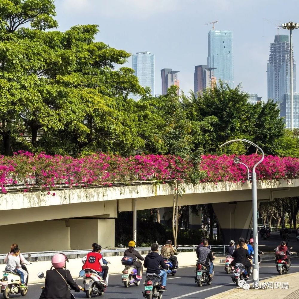 南宁|南宁，为什么是中国电动车之都？