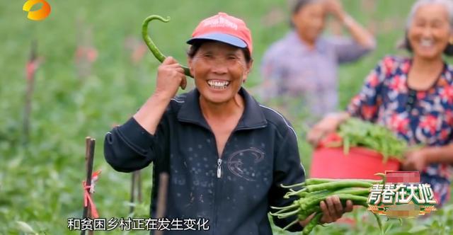张小龙|反转？张小龙辱骂沈梦辰言论被扒出，用语粗俗贬低女性遭网友炮轰