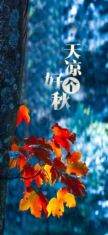 袁大庆|江汉通原创作品 《清凉好个秋》作者：袁大庆