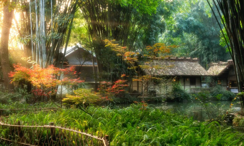 李白|诗词大会康震评“我辈岂是蓬蒿人”，被质疑不敬李白，他错了吗？