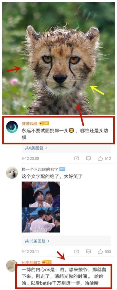 王一博|王一博反撩小宝，粉丝神回复：不要“撩”一头狮子，哪怕它是幼狮