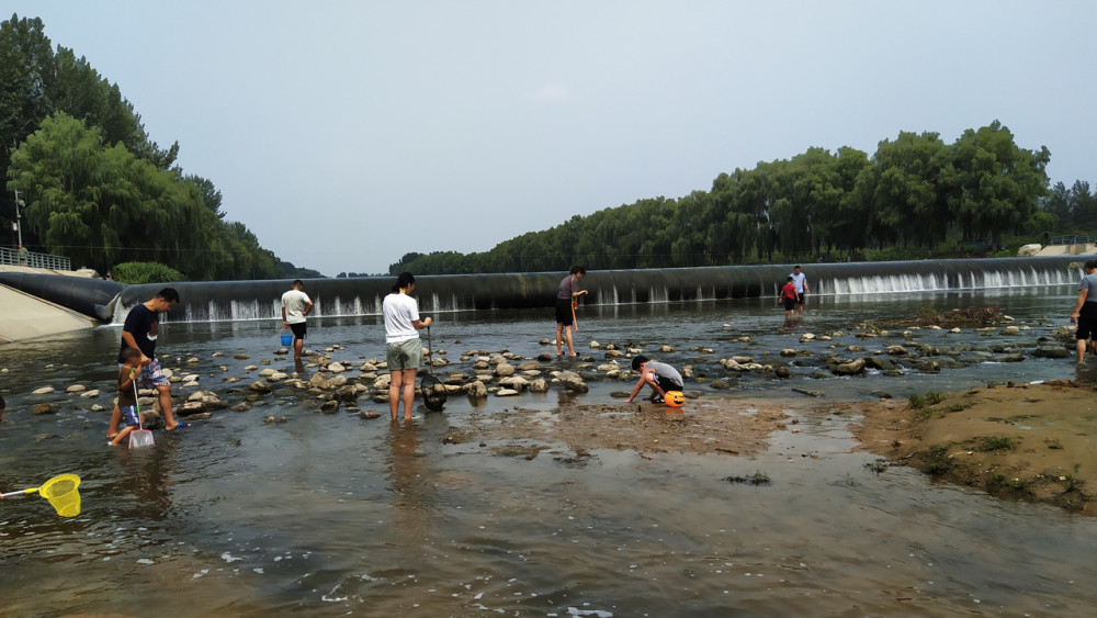 森林公园|秋游北京房山新城滨水森林公园