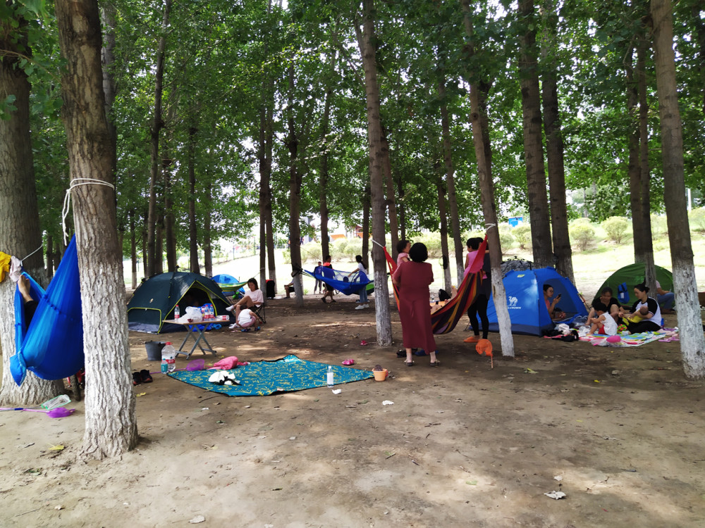 森林公园|秋游北京房山新城滨水森林公园