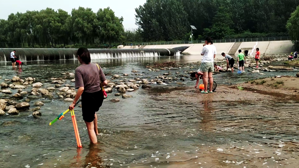 森林公园|秋游北京房山新城滨水森林公园