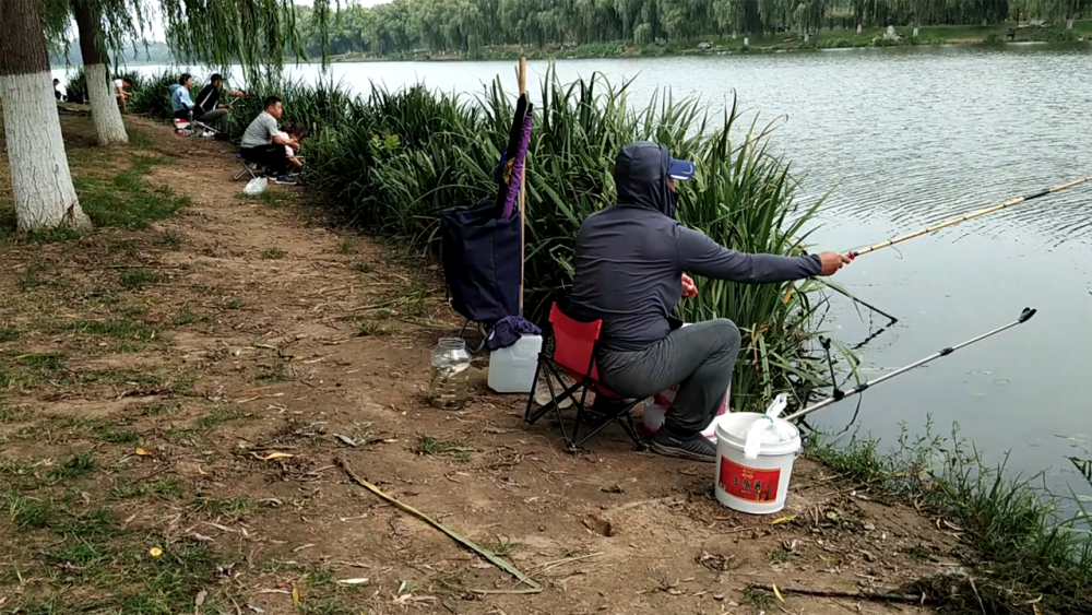 森林公园|秋游北京房山新城滨水森林公园