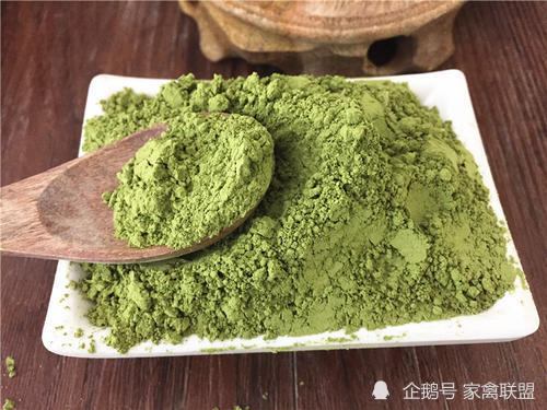 呼吸道疾病|喂鸡的时候在饲料里加点这种“假绿萝”，鸡一辈子不会得呼吸道病