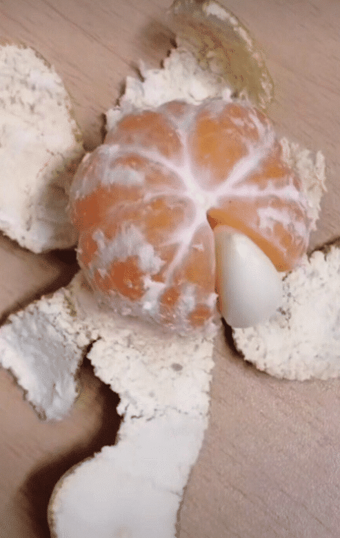 "丈母娘每天给我剥橘子,还在里面加个蒜瓣……"家庭地位就是高哈哈