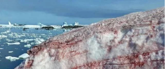 南极|仅仅2天上升2℃，科学家剖析南极气温剧升的原因，这次问题不小
