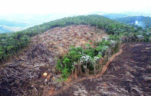 星际飞船|约18288米！星际飞船将进行跳跃式测试，人类移居火星指日可待？