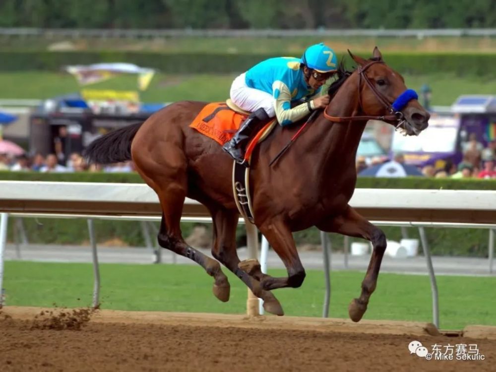 三冠王马主负债1亿多申请破产