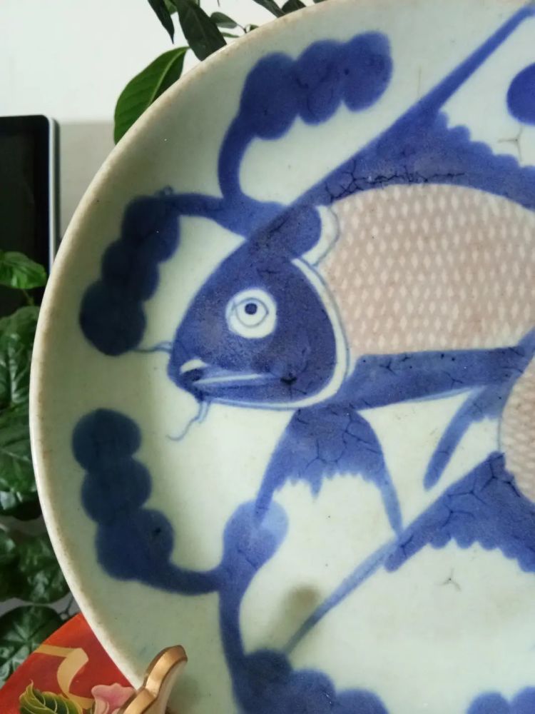 藏品名称 青花釉里红鱼盘藏品断代 清晚期 腾讯新闻