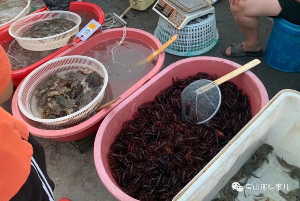 北京|北京房山这个大集有意思，下午开集一直开到天黑