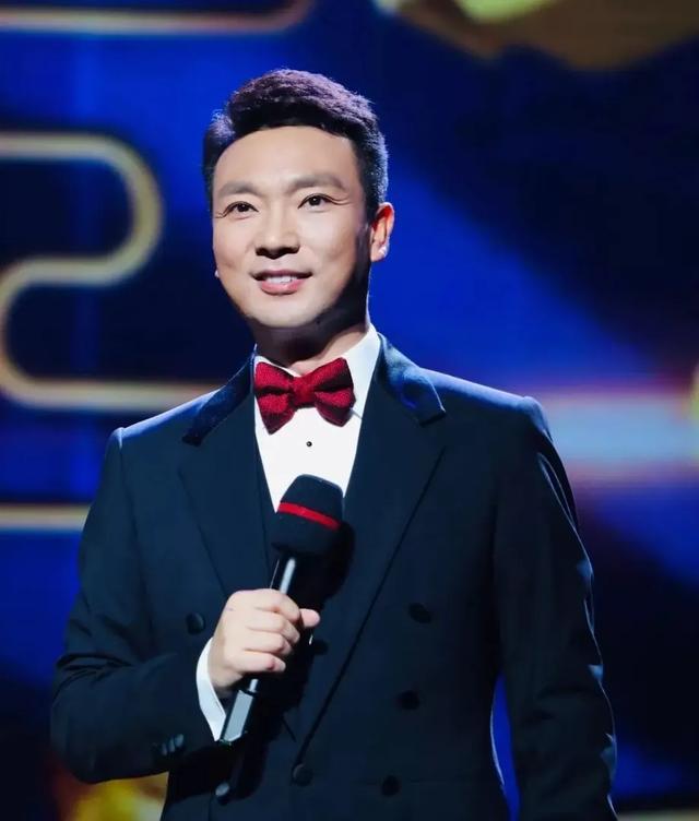 康辉|康辉与妻子20多年丁克婚姻，把猫当孩子养，惹人羡慕的神仙爱情