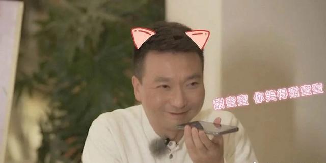 康辉|康辉与妻子20多年丁克婚姻，把猫当孩子养，惹人羡慕的神仙爱情