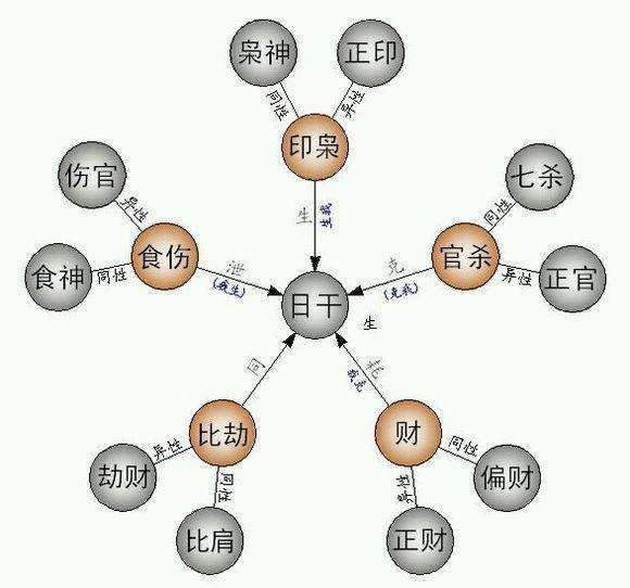 八字命理与十神的含义及作用
